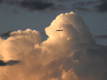 Low angle view of silhouette airplane against sky during sunset