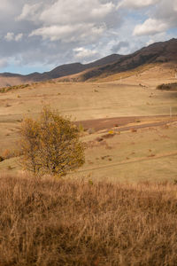 Scenic view of autumn landscape of mountains against the sky