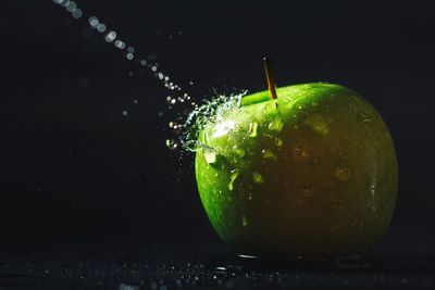 Close-up of wet apple against black background