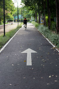 Rear view of person riding bicycle on road