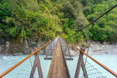 Bridge over river amidst trees