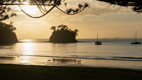 View of sea at sunset