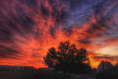 Silhouette tree against orange sky during sunset