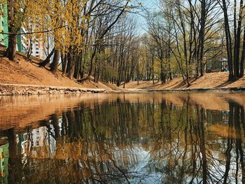 Scenic view of lake in forest