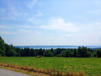 Scenic view of grassy field against cloudy sky