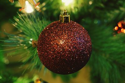 Close-up of christmas tree