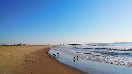 Scenic view of sea against clear sky