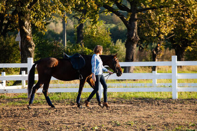 Woman walking with horse by fence during sunny day