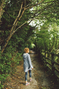 Rear view of people walking on road in forest