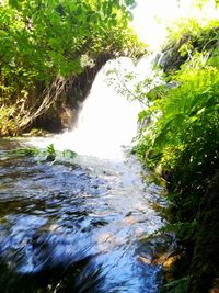 River flowing through rocks in forest