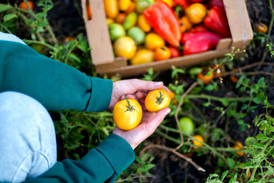 Midsection of woman holding fruit