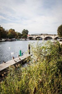 Scenic view of river against sky