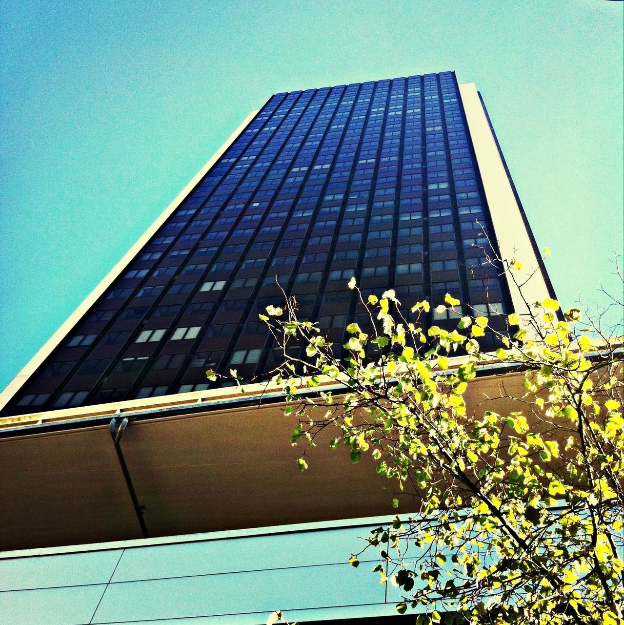 low angle view, building exterior, architecture, built structure, modern, office building, tall - high, tower, skyscraper, city, clear sky, glass - material, building, reflection, blue, sky, growth, window, day, tall