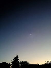 Low angle view of silhouette trees against clear sky at night