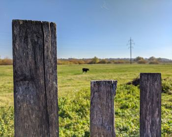 Wooden fence on field