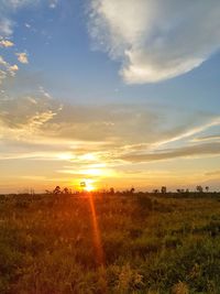 Scenic view of landscape against sky during sunset