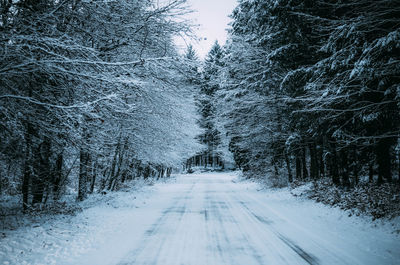 Snow covered road amidst trees in forest