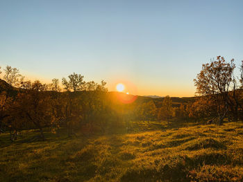 Scenic view of field against sky during sunset