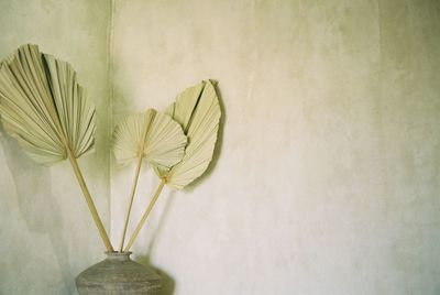 Close-up of white flower vase on table against wall