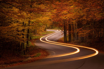 Light trails on empty road amidst trees in forest during autumn