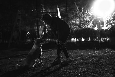 Young woman playing with dog in park at night