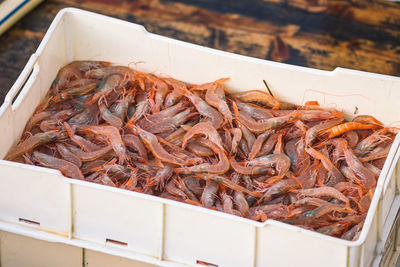 Freshly just caught shrimps and other fish in plastic crates on a fishing boat ready to be sold