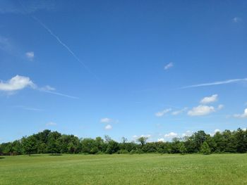 Scenic view of grassy field against blue sky