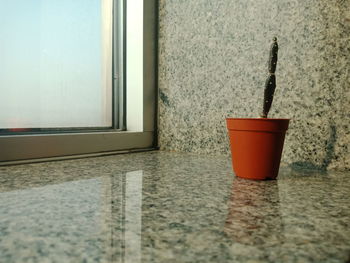 Close-up of potted plant on window