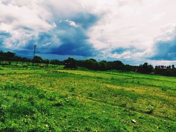 Scenic view of field against sky