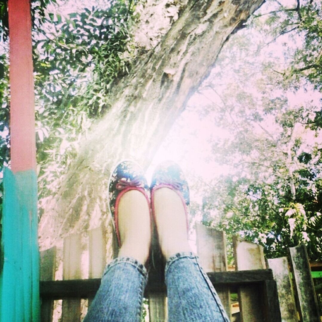 low section, person, tree, lifestyles, standing, personal perspective, leisure activity, shoe, tree trunk, outdoors, day, human foot, jeans, casual clothing, growth, nature