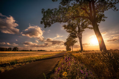 Scenic view of grassy field against sky during sunset