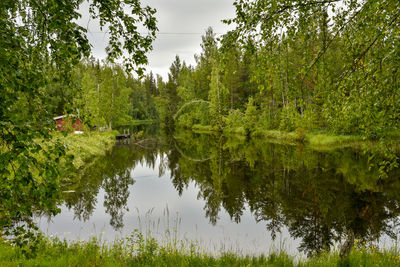 Scenic view of lake in forest against sky