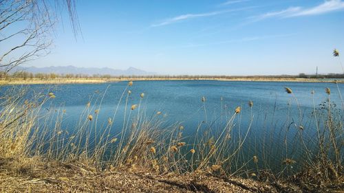 Scenic view of lake against sky