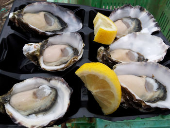 Close-up of fish in plate