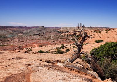 Scenic view of desert against clear sky