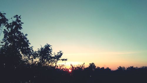 Silhouette trees against clear sky during sunset