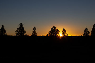 Silhouette trees on field against clear sky during sunset