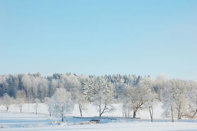Scenic view of snow covered landscape