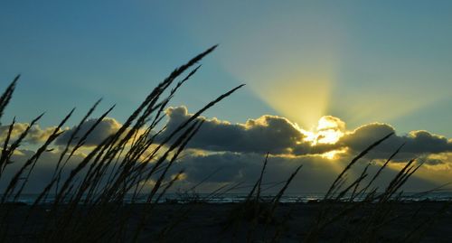 Scenic view of sunset