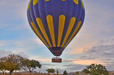 Hot air balloons flying against sky