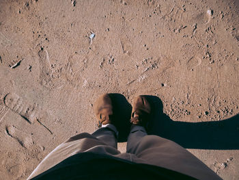 Low section of man standing on beach