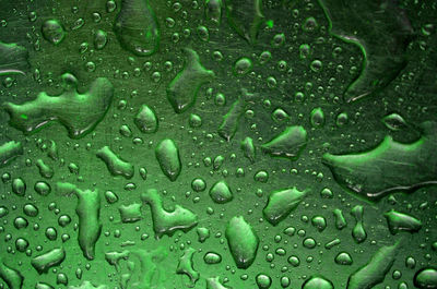 Water droplet on green surface background