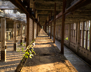 Walkway in corridor