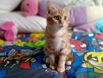 Portrait of kitten sitting on bed