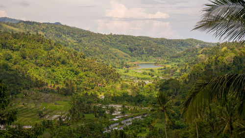 Scenic view of river amidst trees against sky