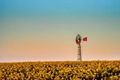 Windmill in canola field