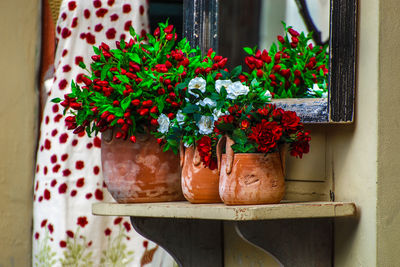 Potted plants on shelf by mirror