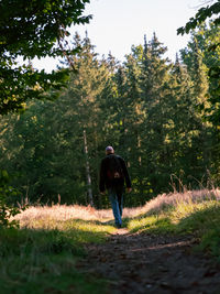 Rear view of man walking in forest