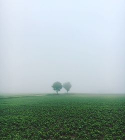 View of fields against clear sky