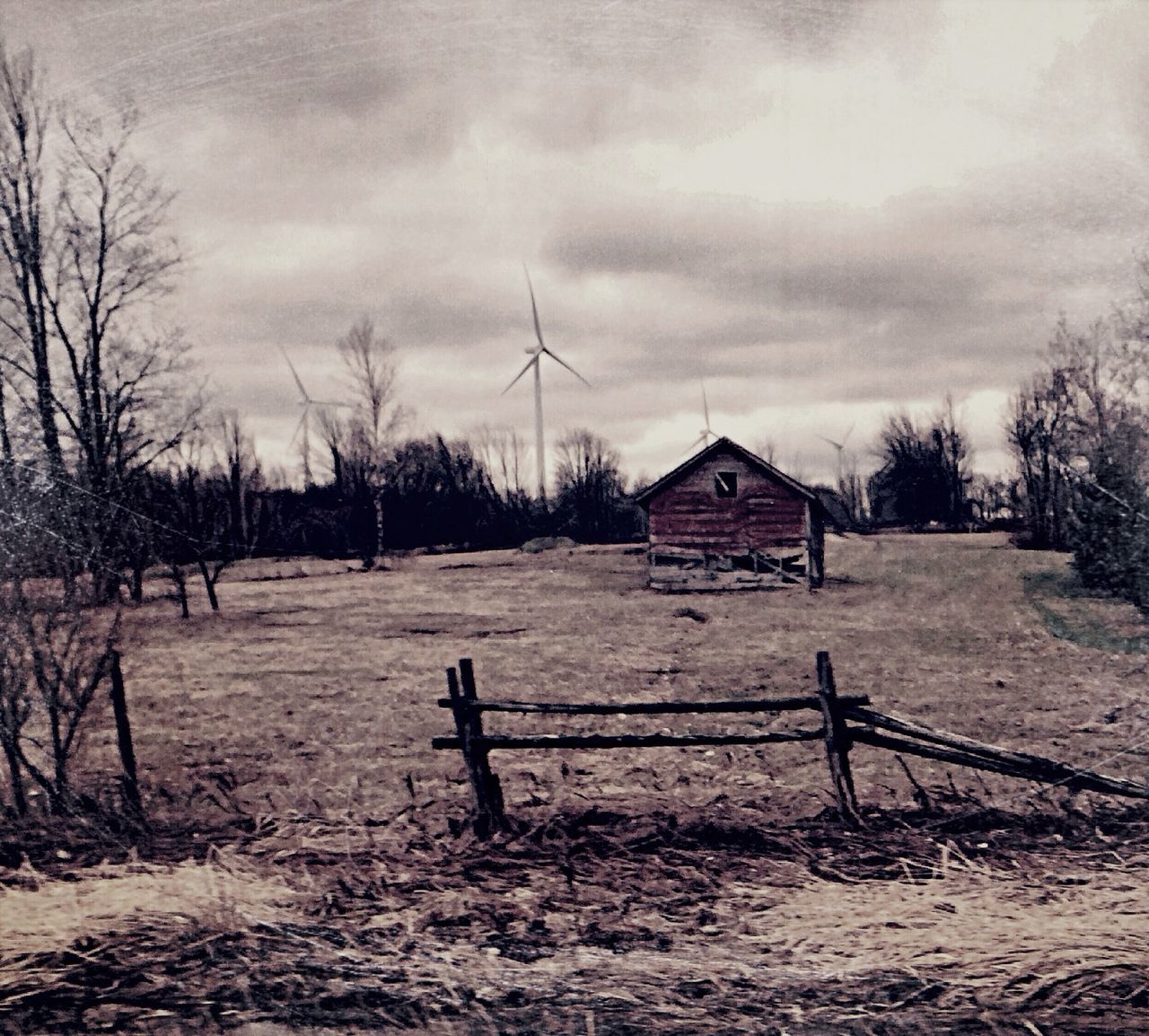 sky, built structure, cloud - sky, building exterior, bare tree, architecture, tree, field, landscape, weather, cloudy, house, winter, tranquility, rural scene, tranquil scene, nature, snow, cloud, cold temperature